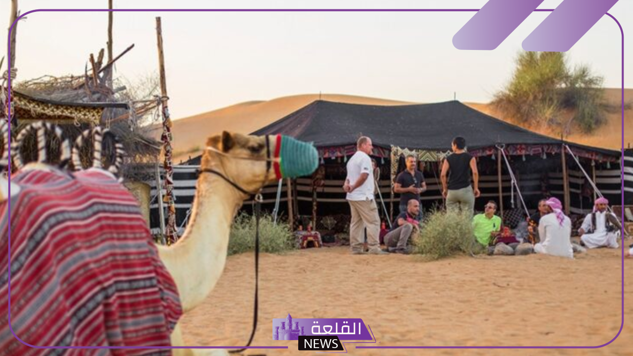المقاطي وش يرجع.. ما أصل قبيلة المقاطي ونسبها؟