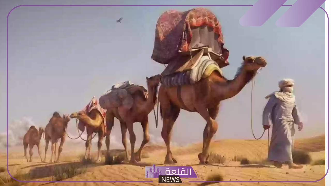 النفيعي وش يرجع.. أصل النفيعي وش يعود؟