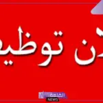 فرصة لحملة المؤهلات العليا.. تعيينات حكومية في هذه التخصصات بالشروط والأوراق