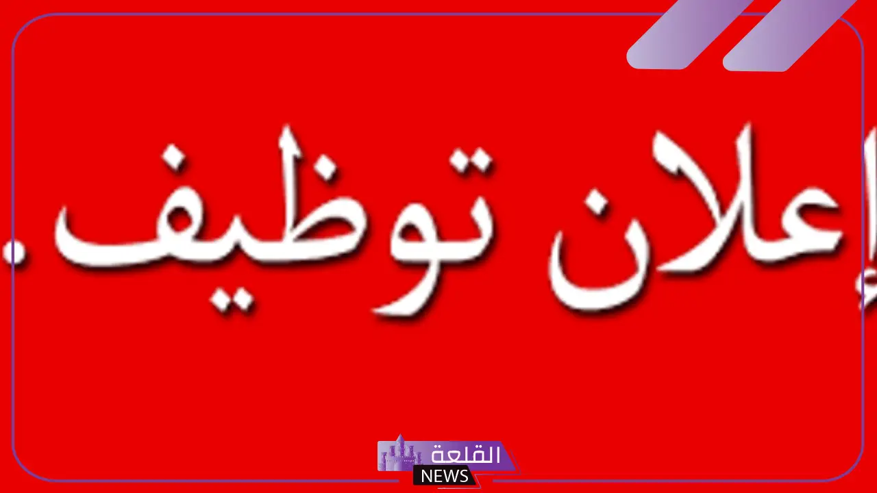 فرصة لحملة المؤهلات العليا.. تعيينات حكومية في هذه التخصصات بالشروط والأوراق