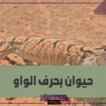 حيوان بحرف و.. أسماء حيوانات تبدأ بحرف الواو