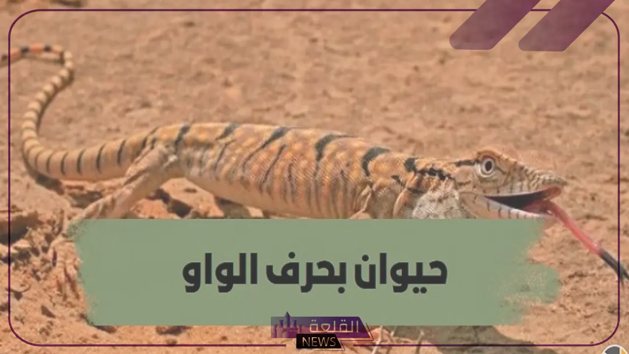 حيوان بحرف و.. أسماء حيوانات تبدأ بحرف الواو