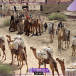 بني خالد وش يرجعون.. ما أصل عائلة بني خالد
