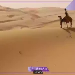 الوايلي وش يرجع.. أصل الوايلي من وين