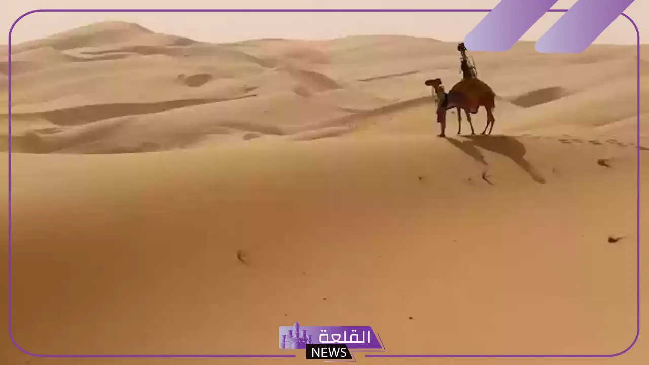 الوايلي وش يرجع.. أصل الوايلي من وين