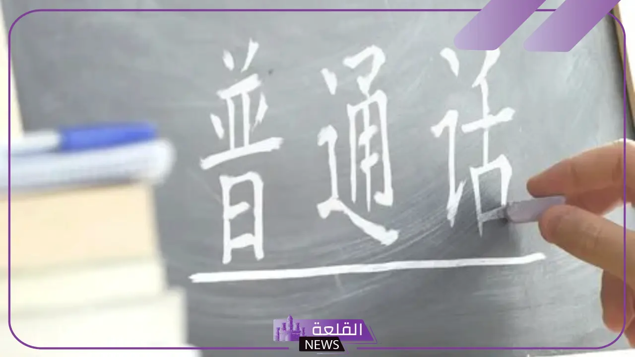 وزارة التعليم.. مدرسون صينيون في طريقهم للسعودية بعد قرار تدريس اللغة الصينية