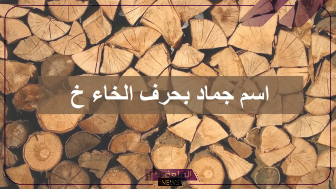 جماد بحرف الخاء.. اسم جماد يبدأ بحرف خ 5 أسماء جماد بحرف الخاء في لعبة الحروف سهلة وبسيطة