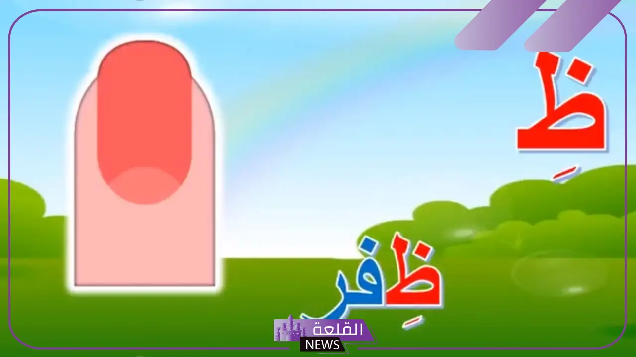 جماد بحرف الظاء.. 10 أسماء جمادات تبدأ بحرف ظ 5 جمادات مدهشة تبدأ بحرف الظاء: تعرف على 10 منها