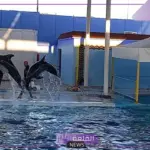 للترفيه.. أسعار دخول حديقة حيوان الطائف 1446