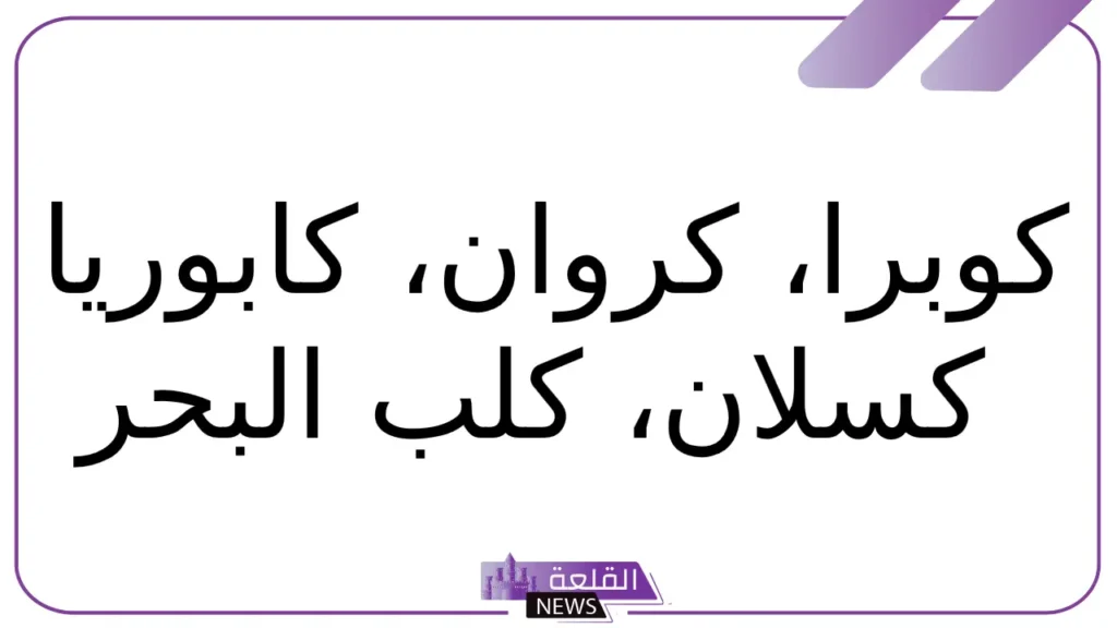 حيوان بحرف ك.. أسماء حيوانات تبدأ بحرف الكاف حيوان بحرف ك.. أسماء حيوانات تبدأ بحرف الكاف