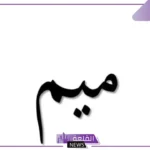 حيوان بحرف م.. أسماء حيوانات تبدأ بحرف الميم