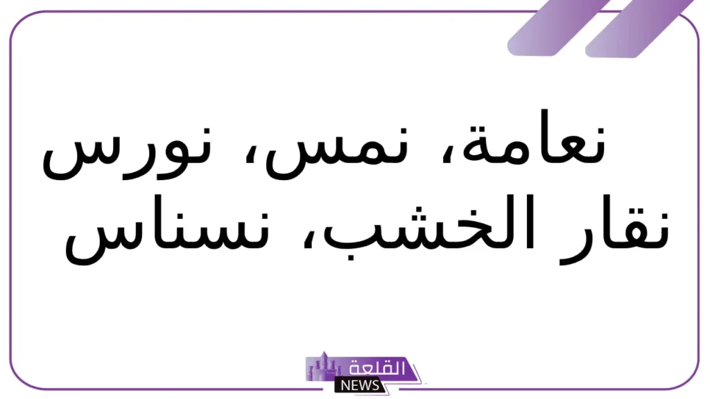 حيوان بحرف ن.. أسماء حيوانات تبدأ بحرف النون 5 ما هي أسماء الحيوانات التي تبدأ بحرف النون؟