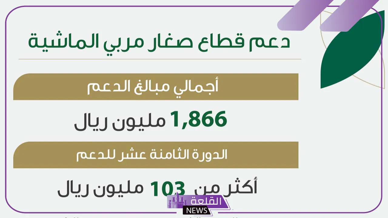 قدم عبر الرابط المباشر.. خطوات التسجيل في دعم المواشي والحصول على الدعم 1446 قدم عبر الرابط المباشر.. خطوات التسجيل في دعم المواشي والحصول على الدعم 1446