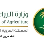 قدم عبر الرابط المباشر.. خطوات التسجيل في دعم المواشي والحصول على الدعم 1446