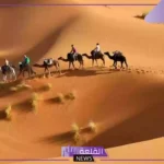 رمز اي قبيلة 101.. الرمز 101 لمن يعود؟ 