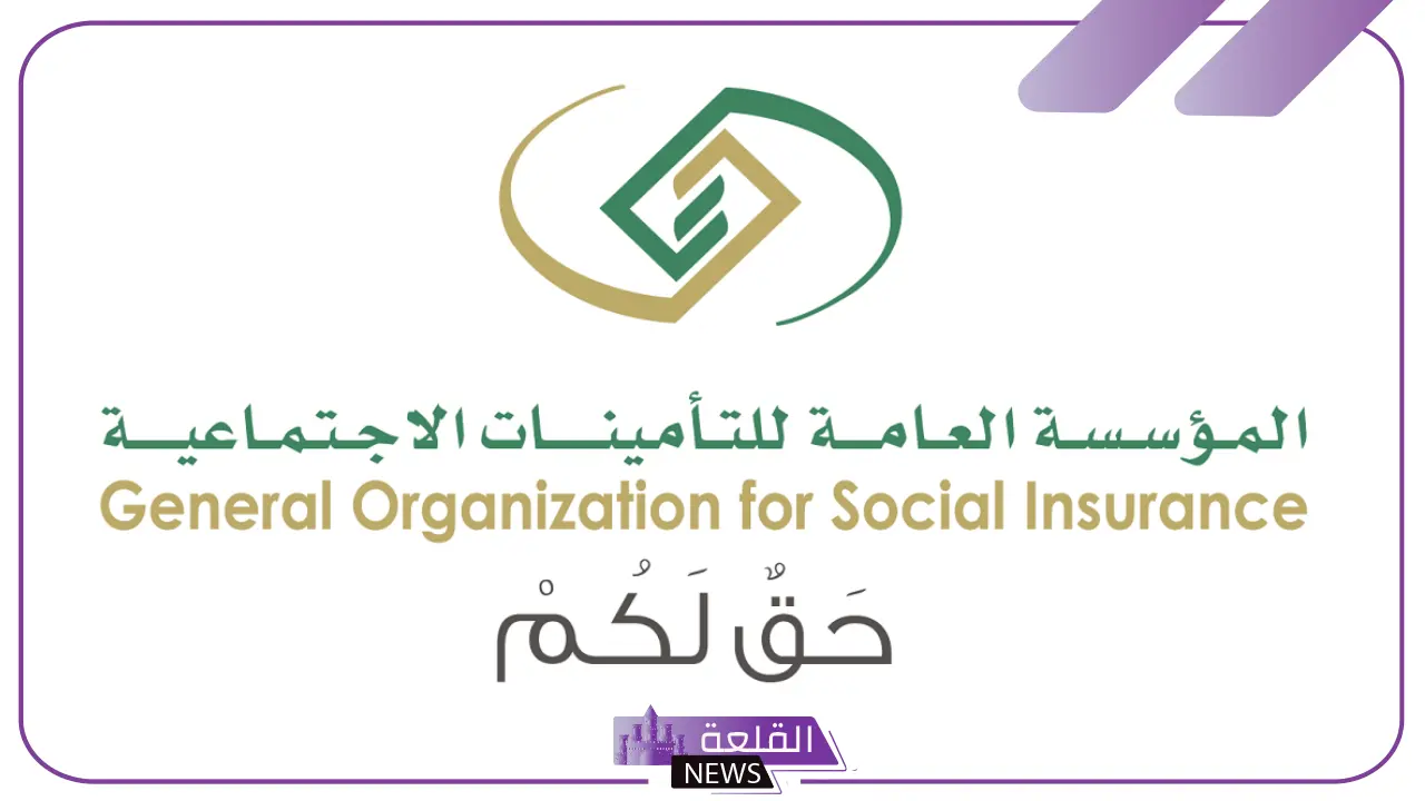 هل يؤثر السجل التجاري في استحقاق المعاش للوريث؟ التأمينات الاجتماعية توضح 5 استحقاق المعاش مع وجود سجل تجاري