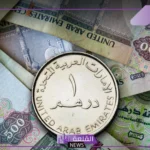 وصل كام الدرهم؟ سعر صرف الدرهم الإماراتي بالجنيه اليوم السبت 24 أغسطس 2024 