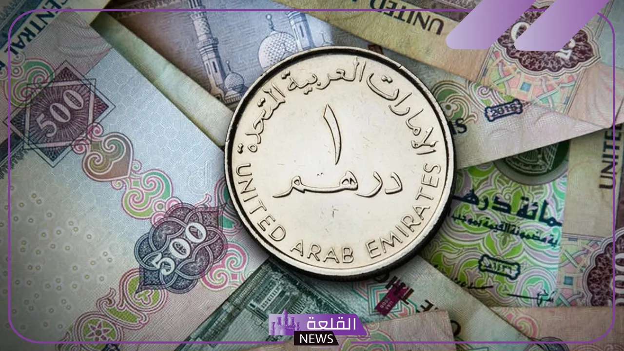 أسعار الصرف.. سعر شراء الدرهم الإماراتي مقابل الجنيه اليوم 31 أغسطس 2024