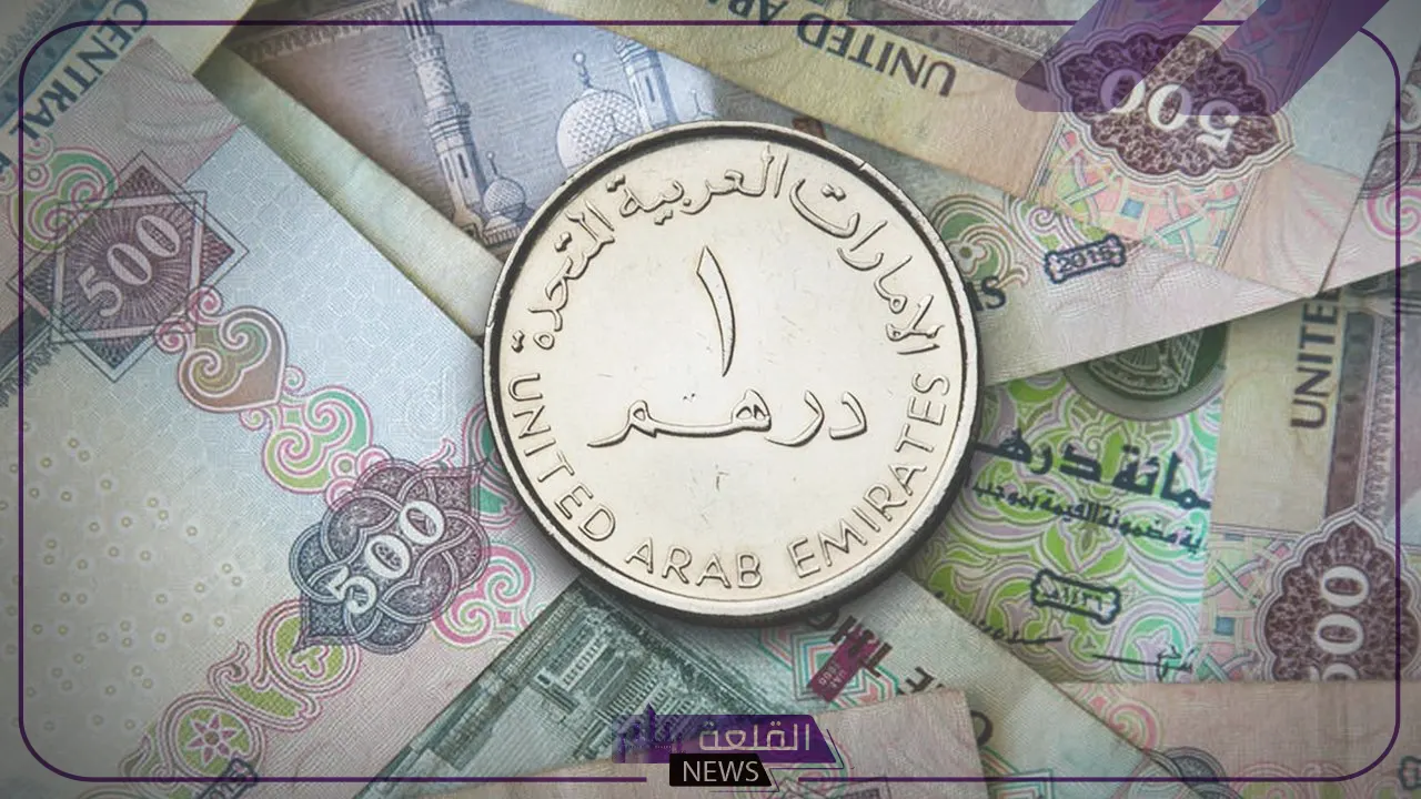 الدرهم على كام؟ سعر شراء الدرهم الإماراتي أمام الجنيه المصري اليوم الخميس 15 أغسطس