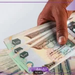 الدرهم وصل كام؟ سعر صرف الدرهم أمام الجنيه المصري اليوم في البنك المركزي 
