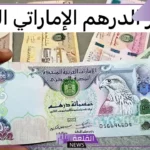 الدرهم وصل كام؟ سعر شراء الدرهم الاماراتي مقابل الجنيه المصري اليوم 