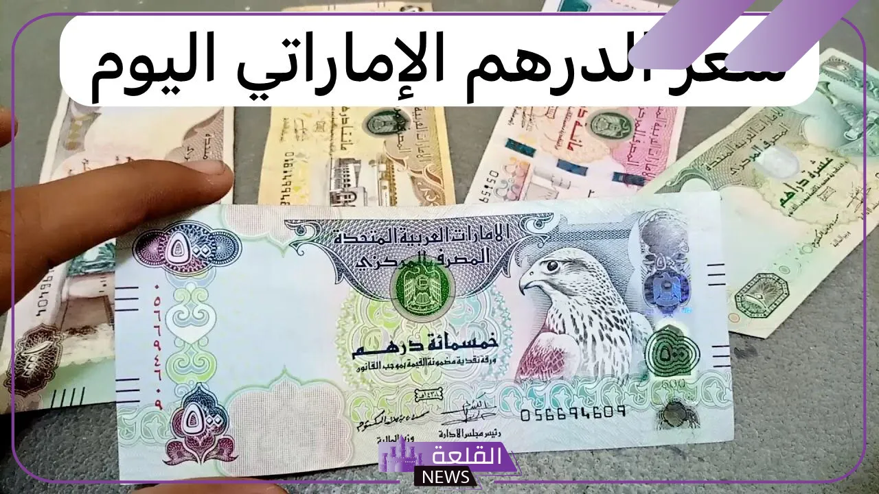 الدرهم وصل كام؟ سعر شراء الدرهم الاماراتي مقابل الجنيه المصري اليوم 