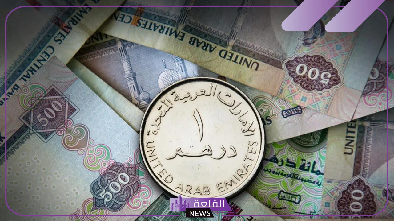 الدرهم وصل كام؟ سعر شراء الدرهم الاماراتي مقابل الجنيه المصري اليوم 5 سعر الدرهم مقابل الجنيه