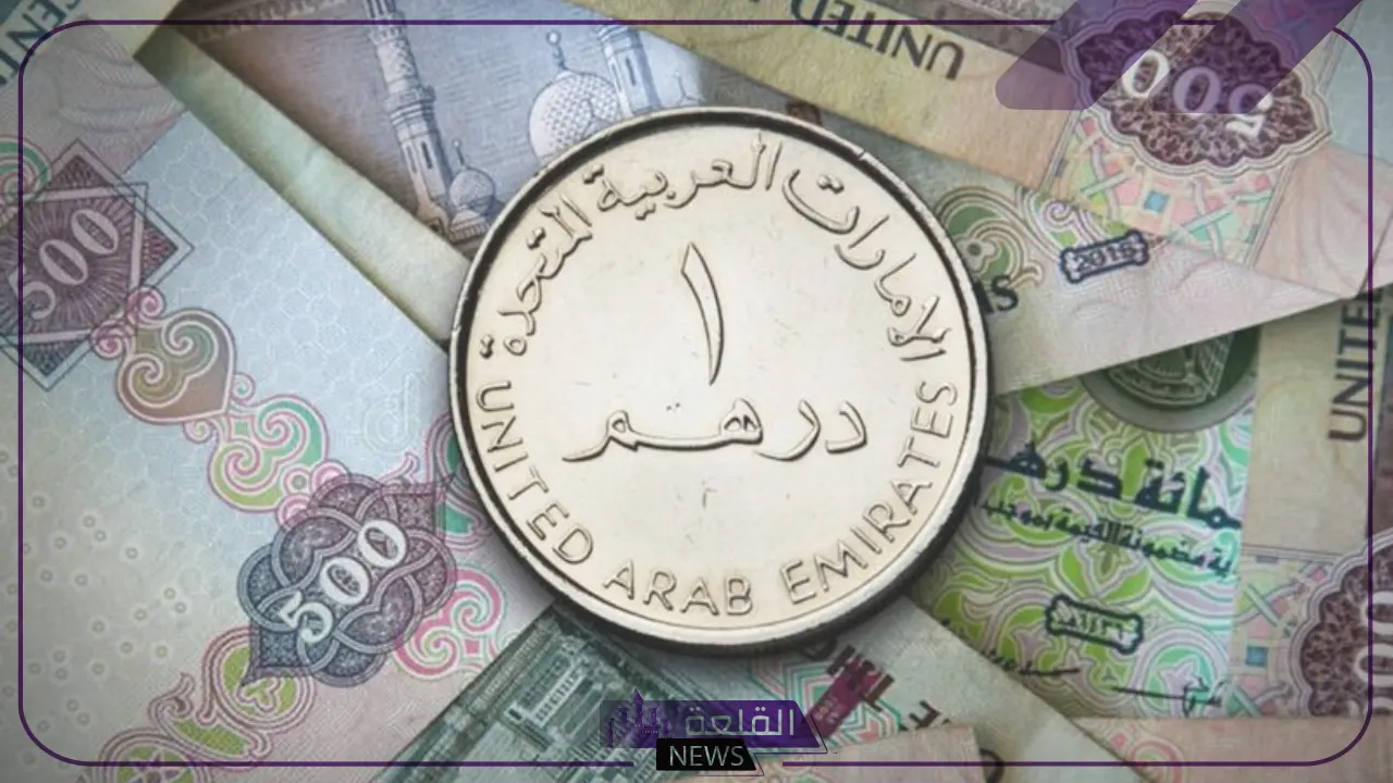 أسعار اليوم.. سعر الدرهم الإماراتي مقابل الجنية المصري اليوم الأحد 11 أغسطس 2024