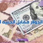 الدولار على كام اليوم؟ سعر صرف الدولار أمام الجنيه اليوم الثلاثاء 20 أغسطس 2024