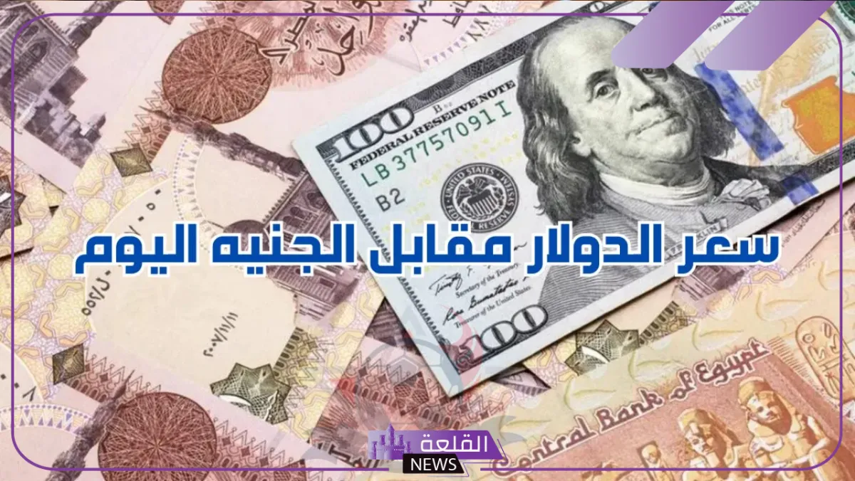 الدولار على كام اليوم؟ سعر صرف الدولار أمام الجنيه اليوم الثلاثاء 20 أغسطس 2024