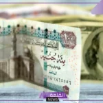 أسعار العملات.. سعر الدولار أمام الجنيه المصري اليوم الثلاثاء 13 أغسطس 2024