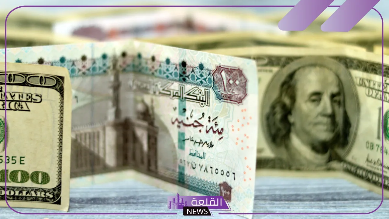 أسعار العملات.. سعر الدولار أمام الجنيه المصري اليوم الثلاثاء 13 أغسطس 2024