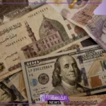 أسعار اليوم.. سعر الدولار أمام الجنيه المصري في السوق السوداء والبنوك اليوم الأربعاء 14 أغسطس