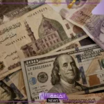 سعر صرف الدولار.. أسعار شراء الدولار اليوم بالجنيه المصري في البنوك 