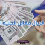 الريال على كام.. سعر الريال السعودي مقابل الجنيه المصري اليوم الأحد 11 أغسطس 2024