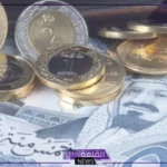 الريال بكام جنيه؟ سعر صرف الريال السعودي أمام الجنيه المصري في البنوك والسوق السوداء اليوم