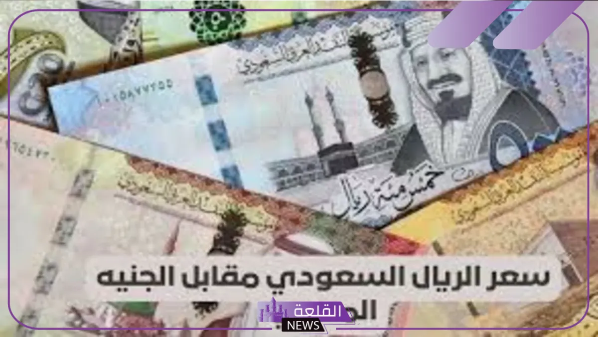 الريال وصل كام؟ البنك المركزي يعلن سعر صرف الريال السعودي أمام الجنيه المصري اليوم 20 اغسطس