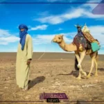 الحجيلي وش يرجع.. أصل ونسب عائلة الحجيلي