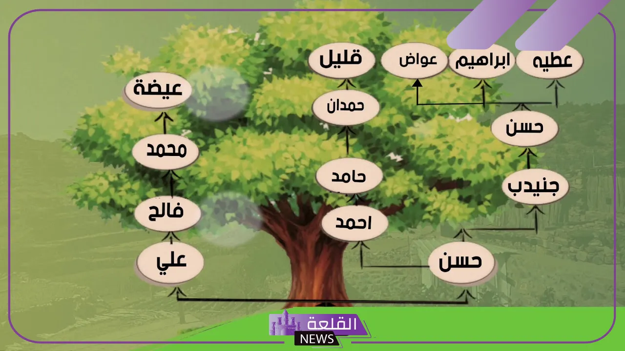 الخديدي وش يرجع .. شجرة الخديدي وديرتهم 6 شجرة قبيلة الخديدي