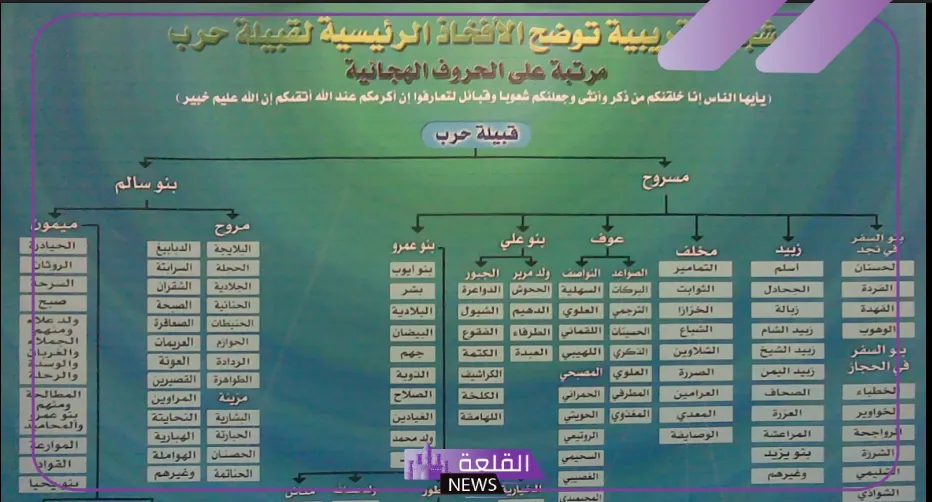 الصاعدي وش يرجع.. نسب وفروع عائلة الصاعدي 6 شجرة قبيلة الصاعدي كاملة
