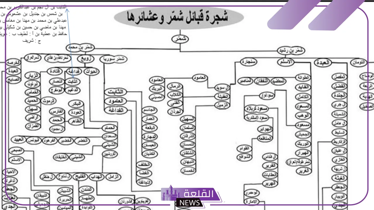 الغفيلي وش يرجع.. بطون عائلة الغفيلي 6 شجرة قبيلة الغفيلي من ال شمر كاملة