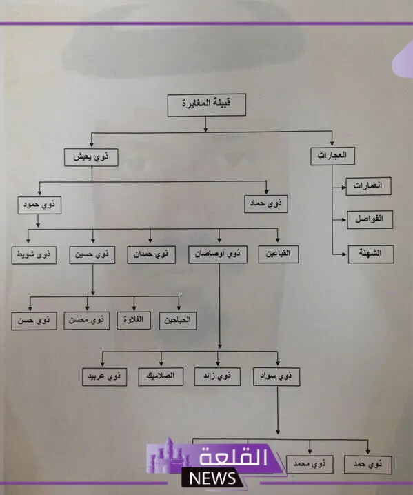 المغيري وش يرجع.. نسب عائلة المغيري من وين يرجع 6 شجرة قبيلة المغيري كاملة