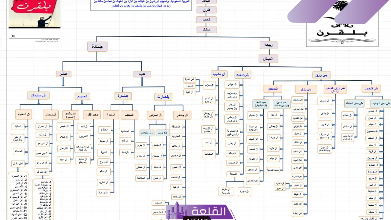 القرني وش يرجع.. بطون وفخوذ عائلة القرني 6 شجرة قبيلة القرني كاملة