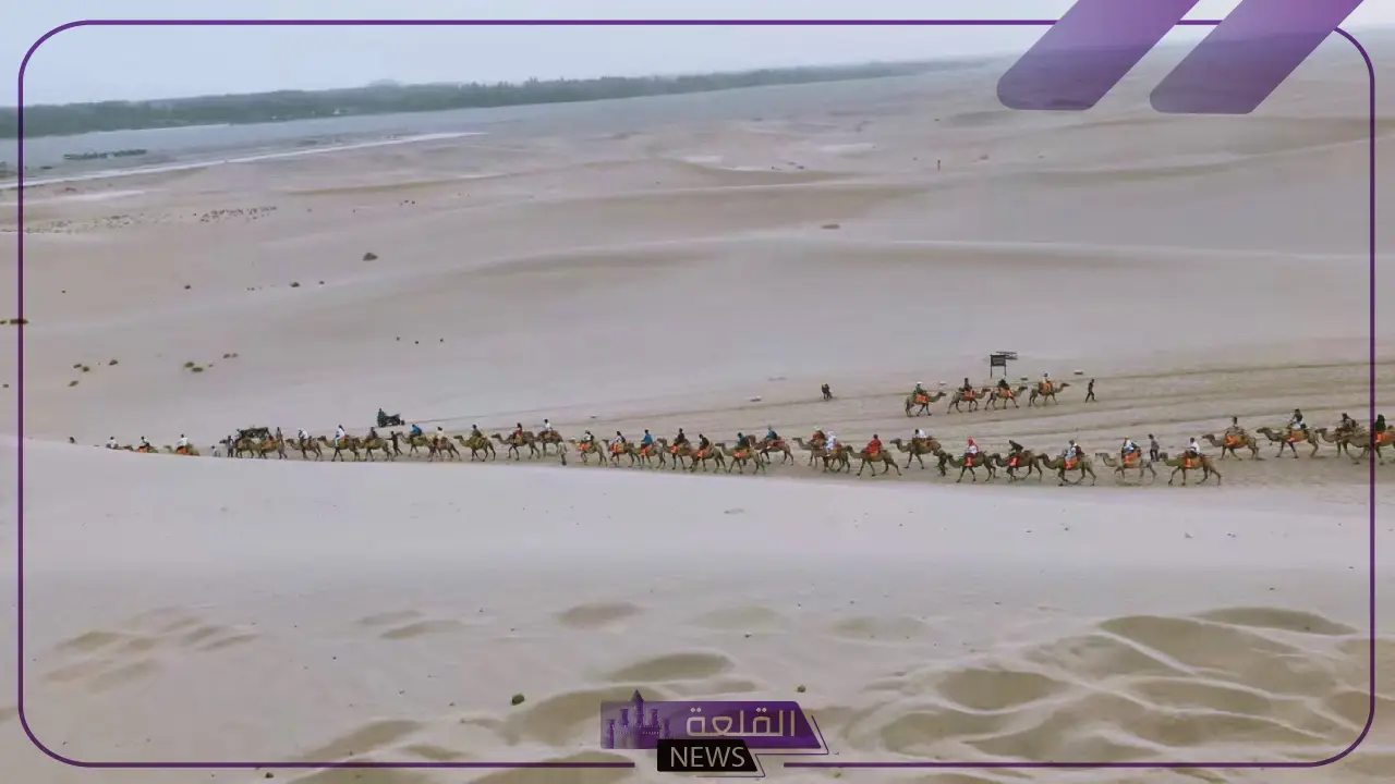 التويجري وش يرجعون.. عائلة التويجري وفروعهم 6 عائلة التويجري