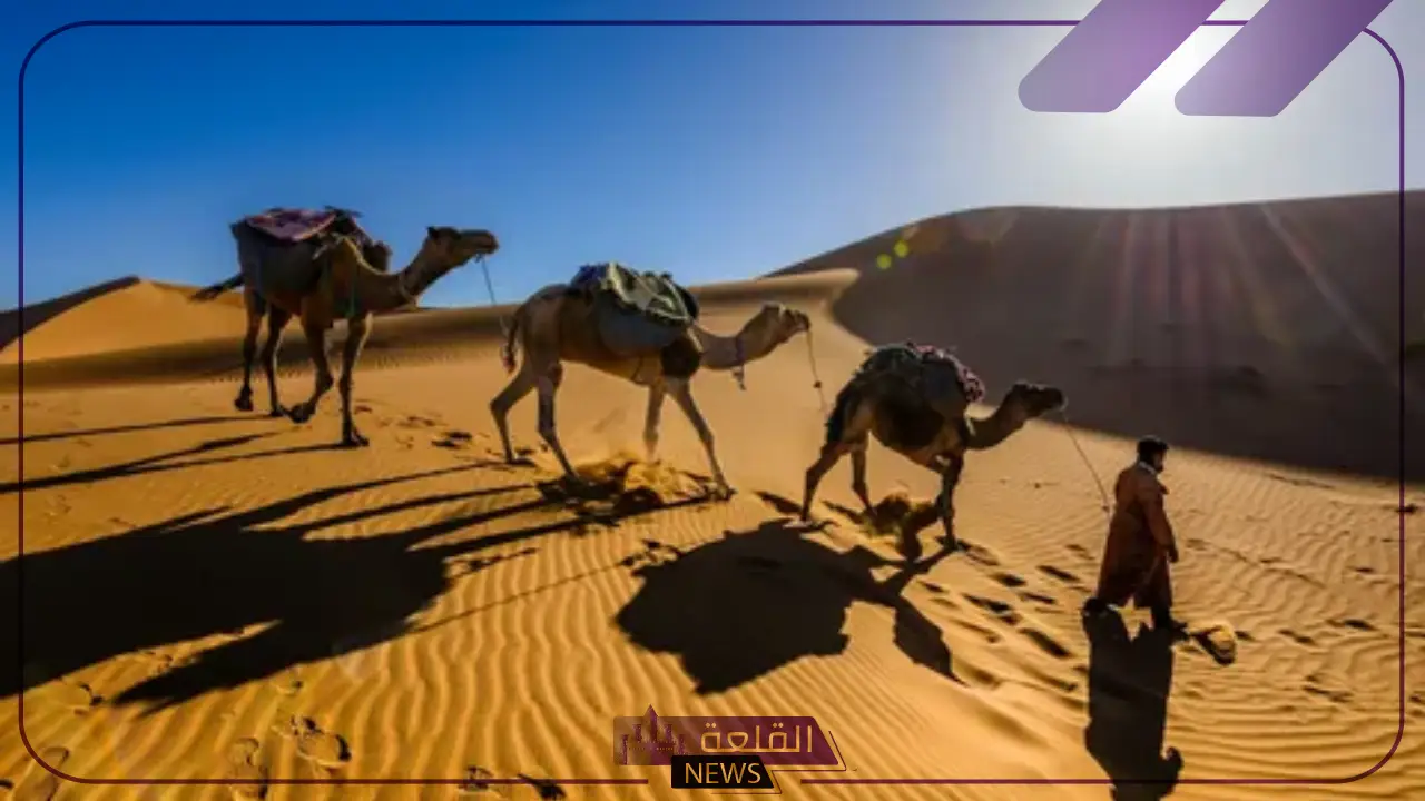 الدريهم وش يرجعون.. عائلة الدريهم من وين وأبرز أعلام القبيلة 5 عائلة الدريهم من وين