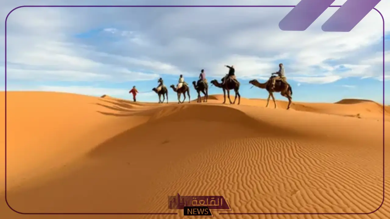 الدويش وش يرجعون.. أصل ونسب عائلة الدويش وش يرجع