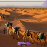 الرفاعي وش يرجع.. فروع قبيلة عائلة الرفاعي