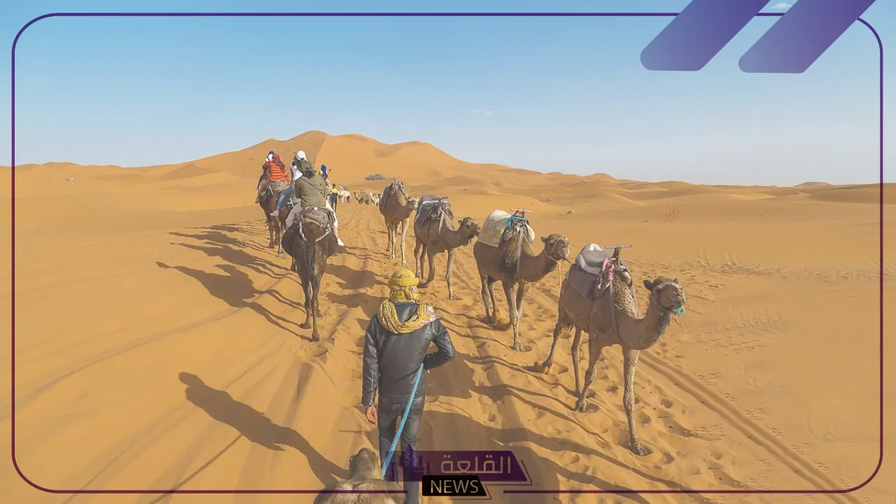 البناقي وش يرجع.. ما أصل عائلة البناقي 6 شاهد.. قبيلة البناقي في الكويت والمملكة وأهم ما يميزها