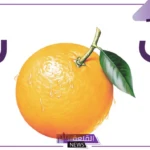 فاكهه بحرف ب.. أسماء 10 فواكه تبدأ بحرف الباء