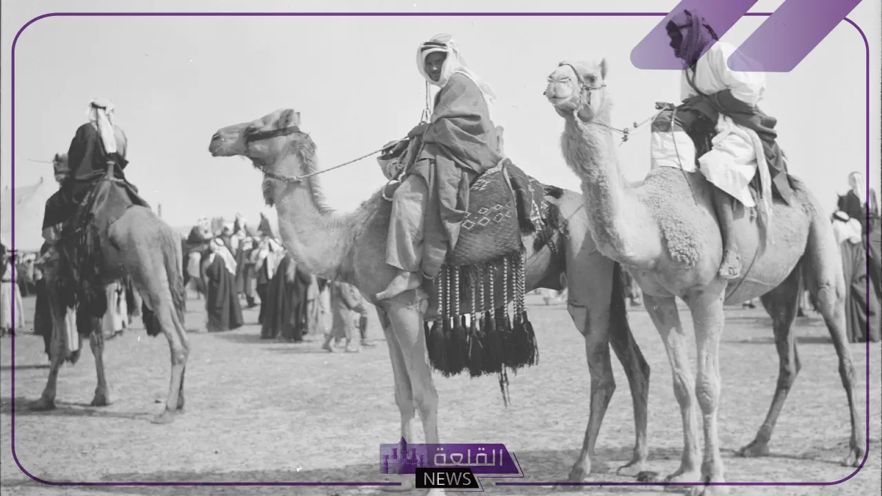 الملحم وش يرجعون.. نسب عائلة الملحم وفروعها 6 أصل الملحم وش يعود ونسبها من وين